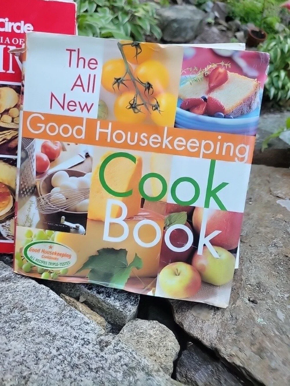Pair of VTG All-American Cookbooks Harcover Family Circle & Good Housekeeping